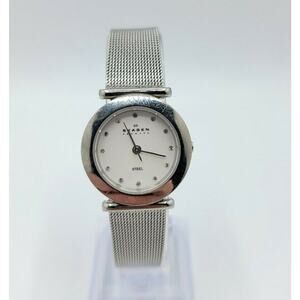 Ladies Skagen Steel 107SSSD Crystal Accents SS Mesh Quartz Watch New Battery
